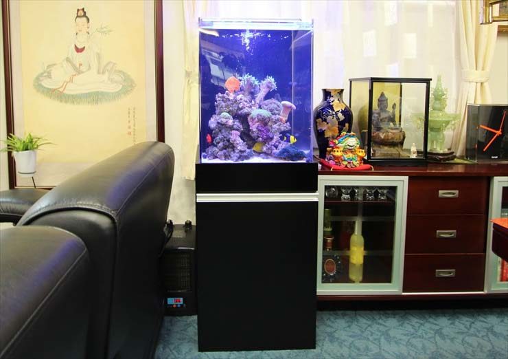 室内の棚の横に設置された海水魚用オーバーフロー水槽
