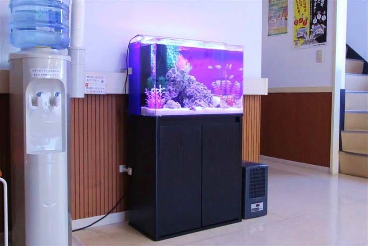 ウォーターサーバー横に設置された海水魚水槽と黒い水槽台