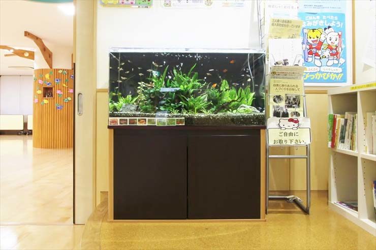幼稚園の廊下に設置された水草と小型魚の熱帯魚水槽