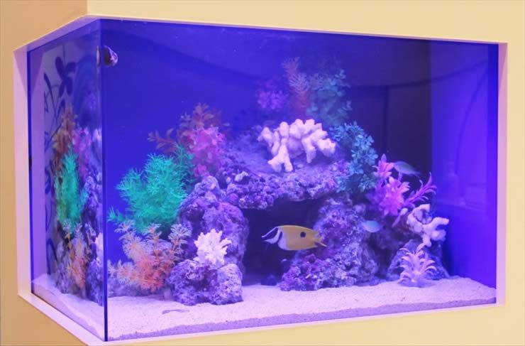 青い照明の海水魚水槽とサンゴ岩や人工水草のレイアウト