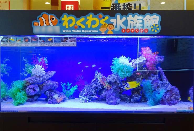 わくわく水族館の看板がある海水魚水槽の展示風景