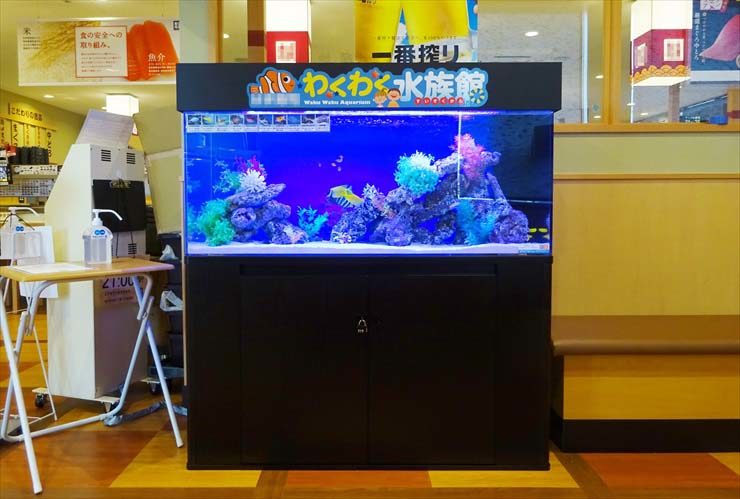 わくわく水族館の文字がある店舗設置の海水魚水槽
