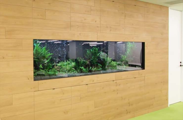 木目調の壁面に埋め込まれた横長の水草水槽