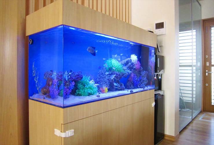 木目調の台に設置された大型の海水魚水槽と熱帯魚