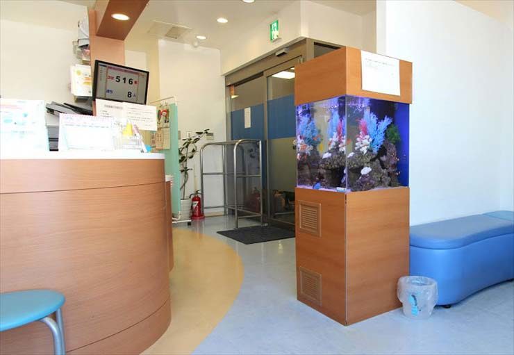 病院の受付に設置された木目調の海水魚水槽