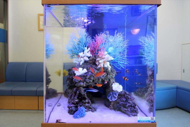 青い照明の海水魚水槽とカラフルな人工サンガのレイアウト