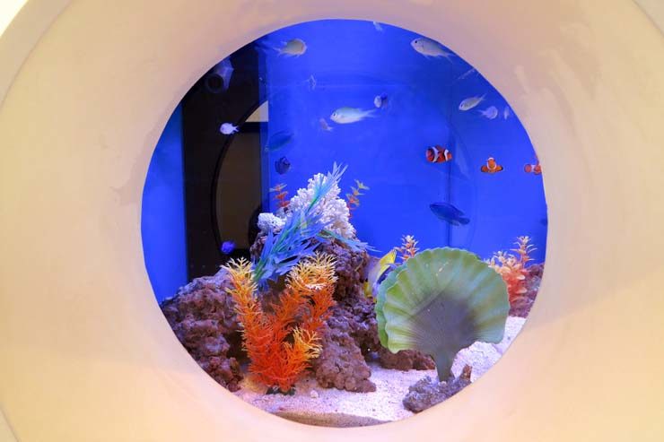丸窓から覗く海水魚と人工サンゴの円形水槽内景
