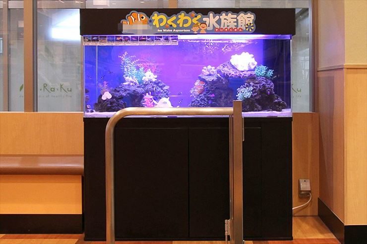 わくわく水族館の文字がある青い照明の海水魚水槽