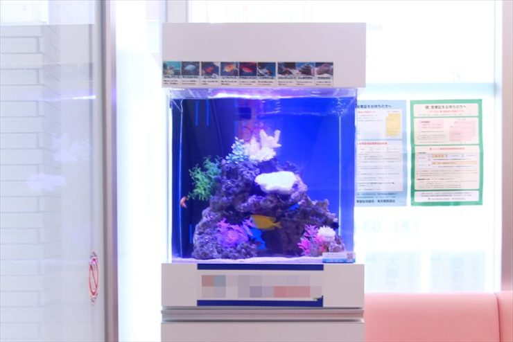 青い照明の海水魚水槽と白い水槽台の設置風景