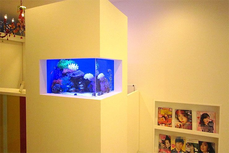 壁面に埋め込まれた青い海水魚水槽とマガジンラック