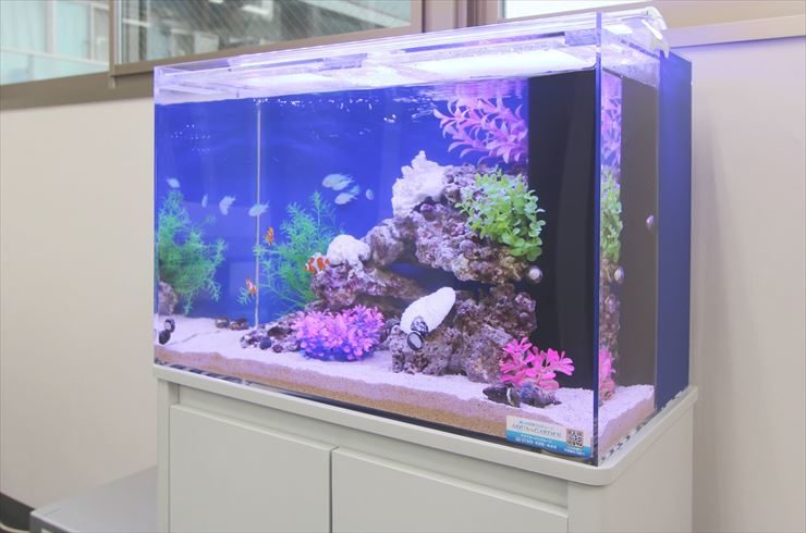 青い背景に岩や人工水草を配置した海水魚水槽の全景