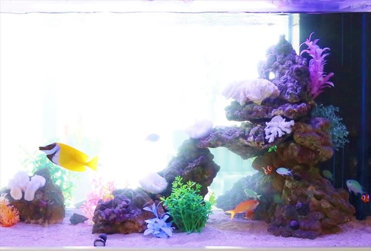 岩組と人工サンゴを配置した海水魚水槽のレイアウト