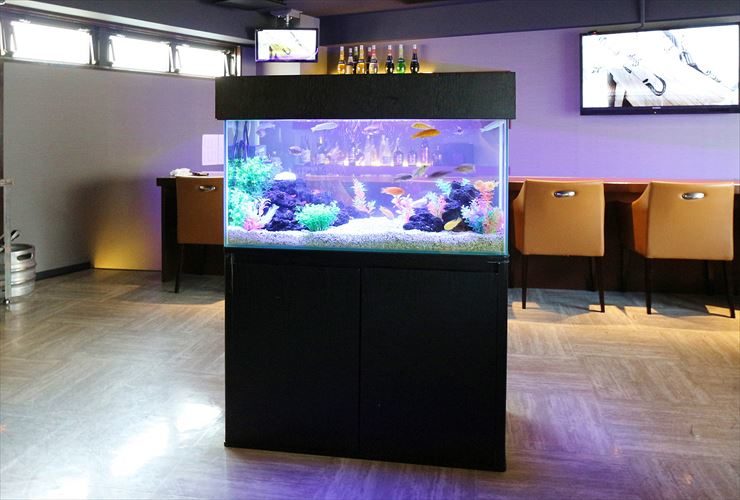 バーの店内に設置された熱帯魚水槽と黒い水槽台