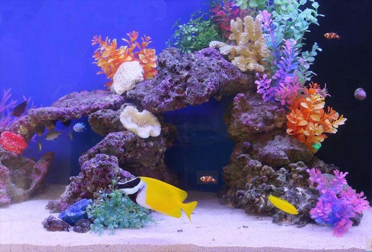 岩組と人工水草で飾られた海水魚水槽を泳ぐ黄色い熱帯魚