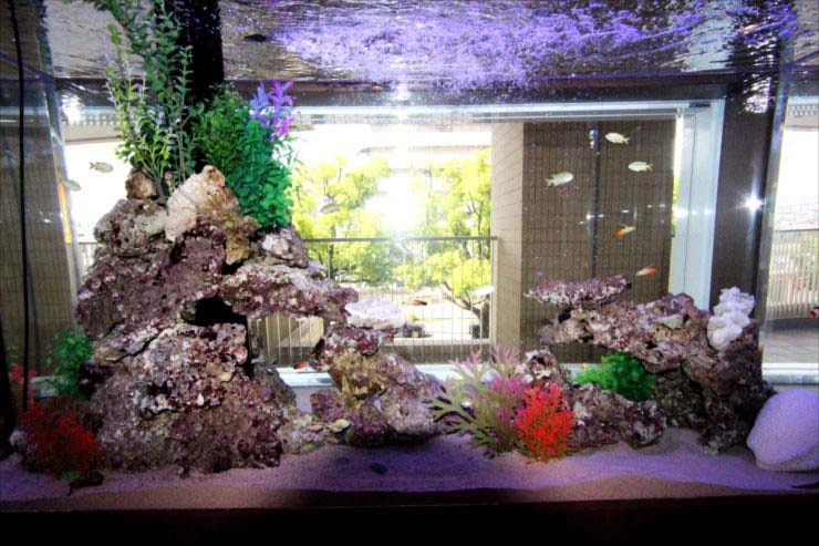 岩組と人工水草を配置した海水魚水槽のレイアウトイメージ