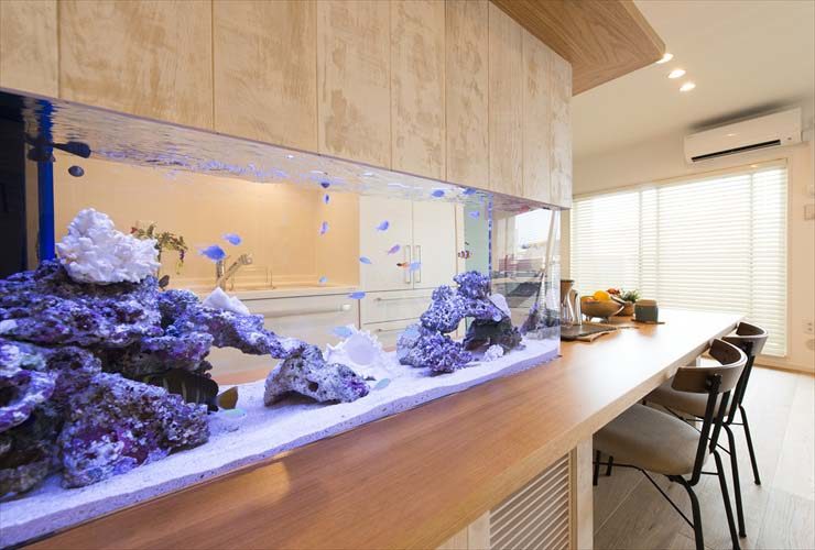 カウンターに設置された海水魚水槽とダイニングルーム