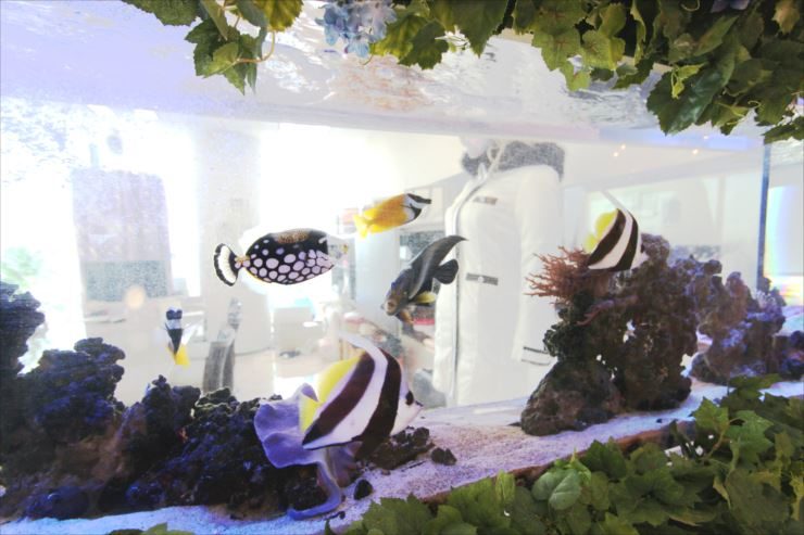 海水魚が泳ぐ岩組みレイアウトの横長水槽と造花装飾
