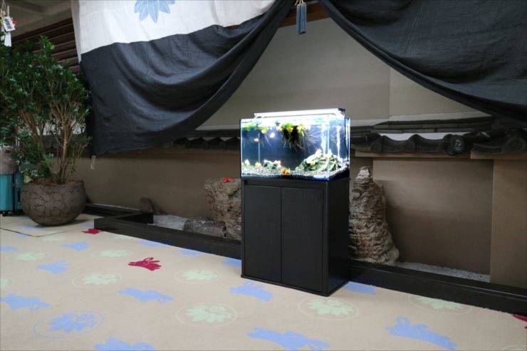 和風の室内に設置された金魚が泳ぐ水槽と黒い水槽台