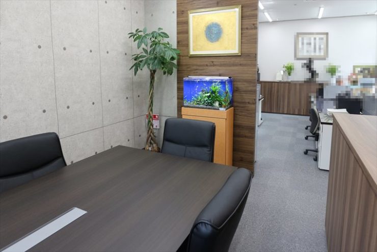 オフィスの会議室に設置された青い背景の水草水槽