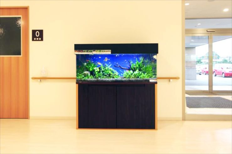 施設ロビーに設置された水草と小型魚の大型水槽