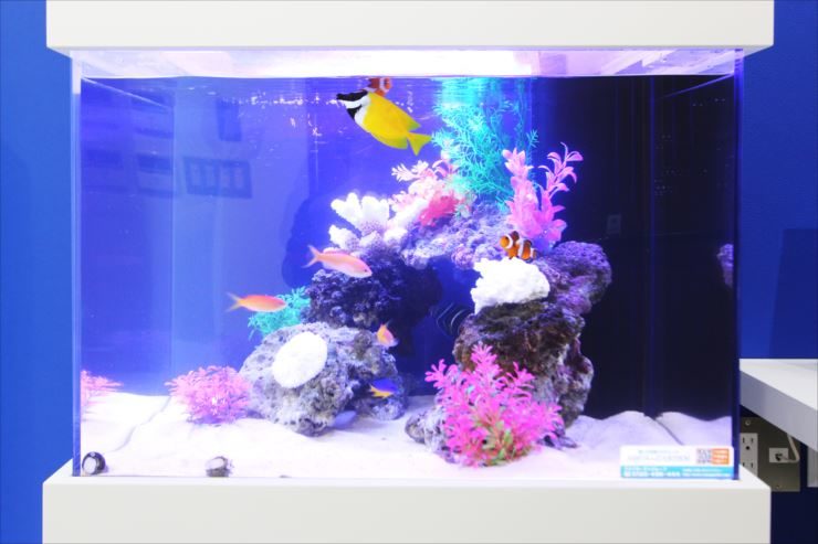 黄色い海水魚と人工水草が配置された海水魚水槽