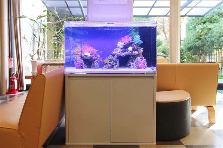 待合室のソファの間に設置された海水魚水槽の全景