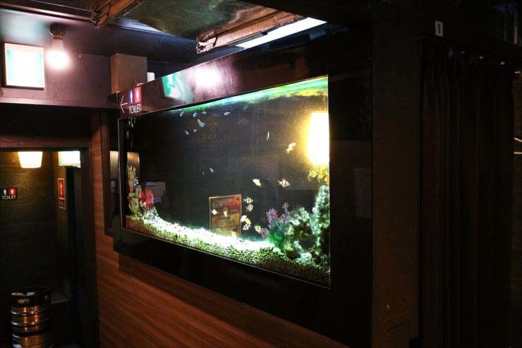 暗い店内の壁面に埋め込まれた大型の熱帯魚水槽