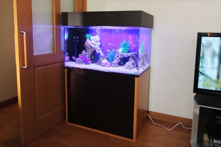リビングのドア横に設置された青い照明の海水魚水槽