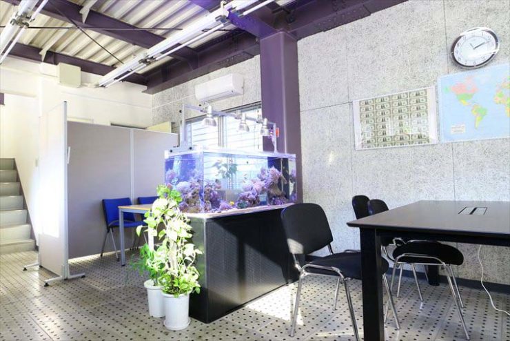 オフィスに設置された大型の海水魚水槽と会議用テーブル