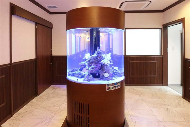 室内に設置された円柱型の海水魚水槽とライブロック