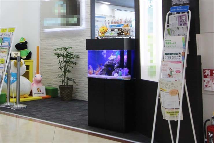店舗の待合室に設置された青い照明の海水魚水槽