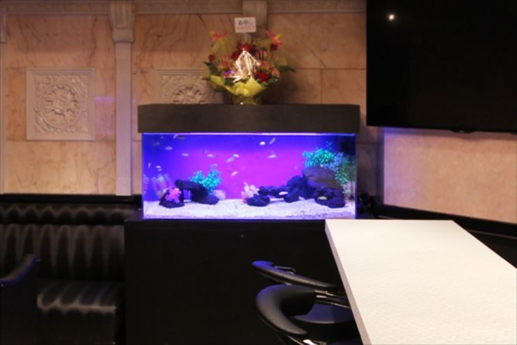 青い照明が灯る店舗内の大型熱帯魚水槽と黒いソファ
