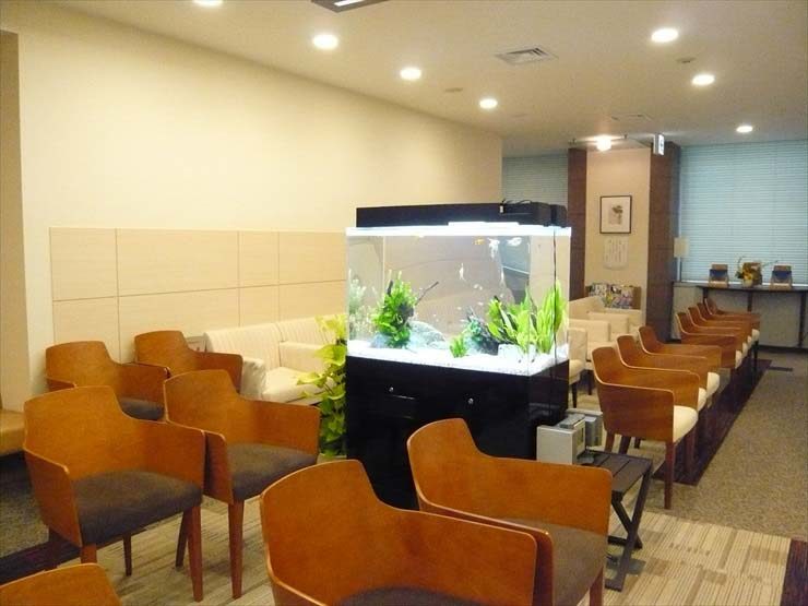 待合室の中央に設置された大型の熱帯魚水槽と木製椅子群