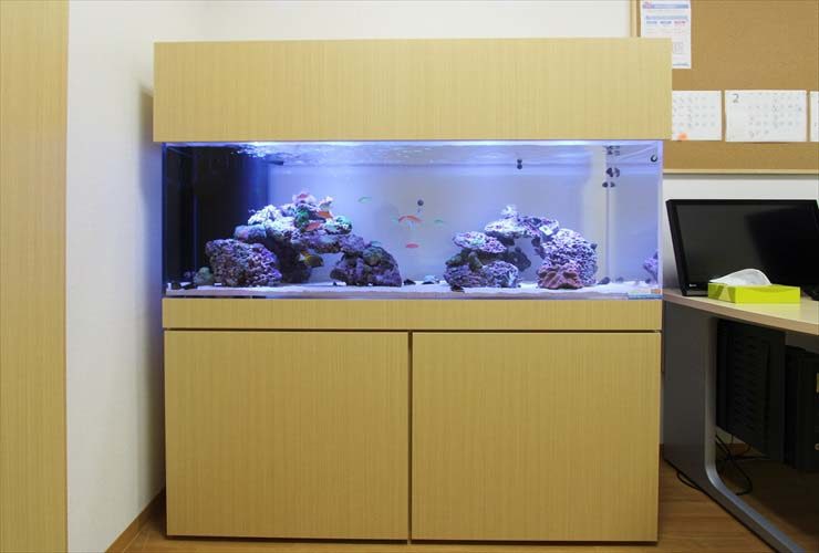 木目調のキャビネットに設置された海水魚水槽の全景