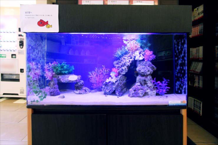 青い照明に岩と人工水草を配置した大型の海水風水槽