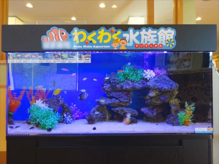 わくわく水族館の看板がある海水魚水槽の設置事例