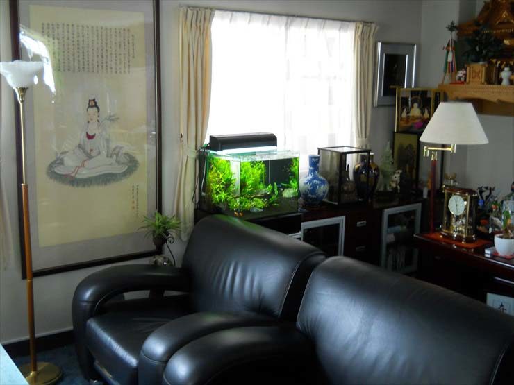 黒いソファと窓際に置かれた水草水槽のある室内風景