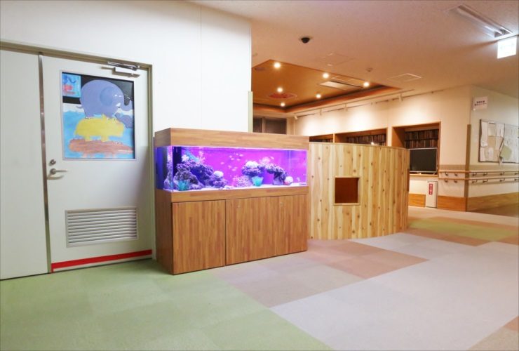 施設内に設置された木目調台の大型海水魚水槽