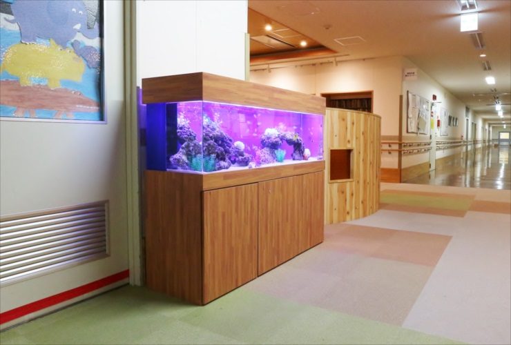 廊下に設置された紫色の照明が灯る大型の海水魚水槽