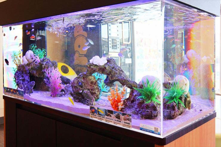 岩組とカラフルな人工水草を配置した海水魚水槽