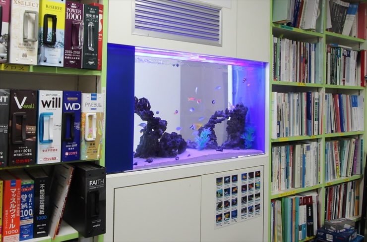 本棚の間に埋め込まれた青い照明の熱帯魚水槽