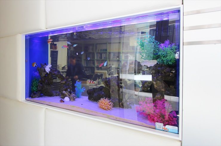 青い照明の壁埋め込み式海水魚水槽とカラフルな人工水草