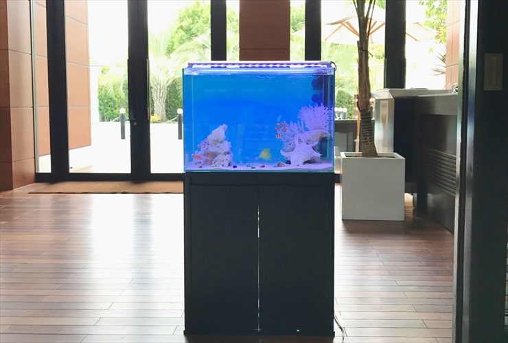 エントランスに設置された青い海水魚水槽と黒い水槽台