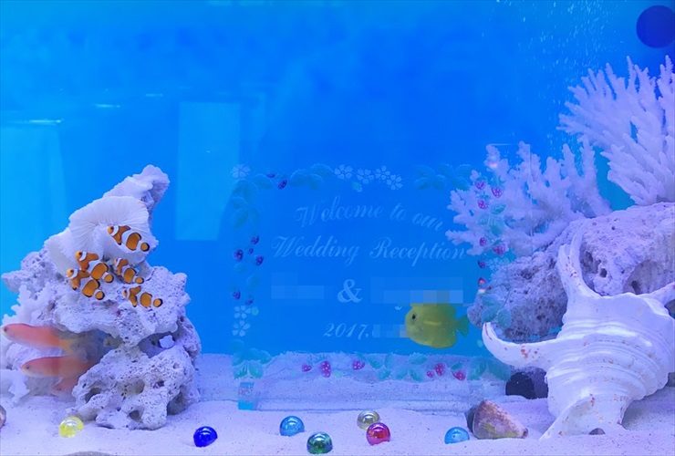 ウェルカムボードとカクレクマノミがいる結婚式の海水水槽