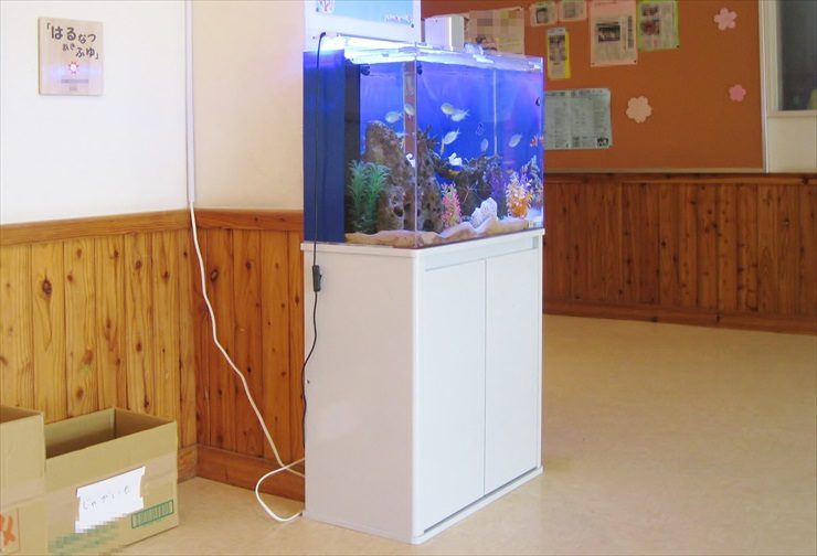 白い水槽台に設置された青い背景の熱帯魚水槽