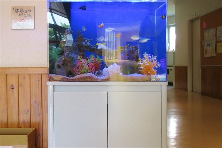青い背景の海水魚水槽と白い水槽台の設置風景