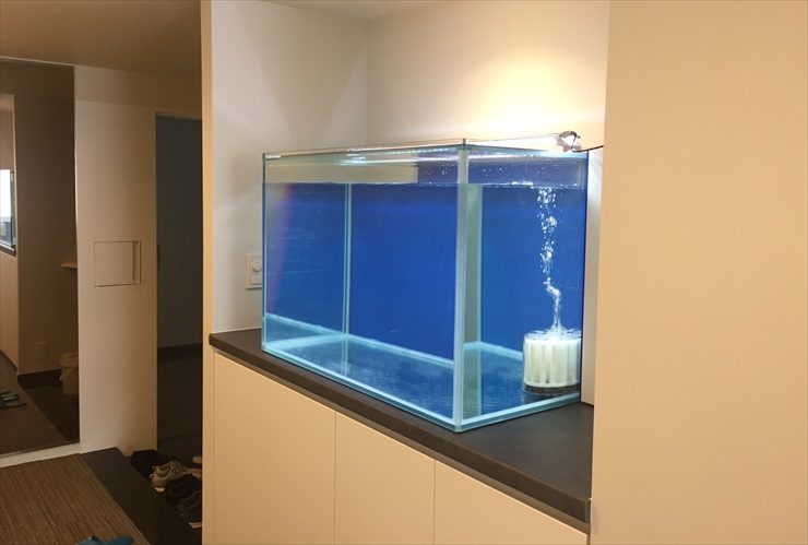 青い背景の空の水槽と投げ込み式フィルターの気泡