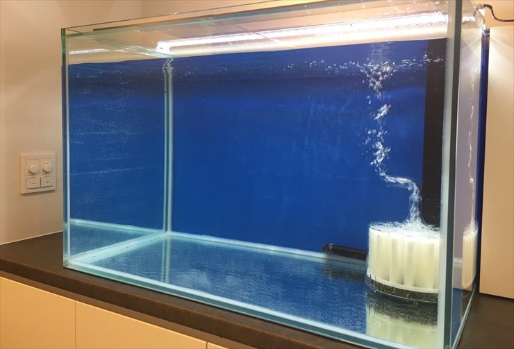 青い背景の空の水槽と稼働中の投げ込み式フィルター