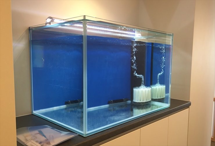 青いバックスクリーンと投げ込み式フィルターの水槽