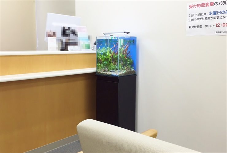 受付カウンター横に設置された小型の水草水槽